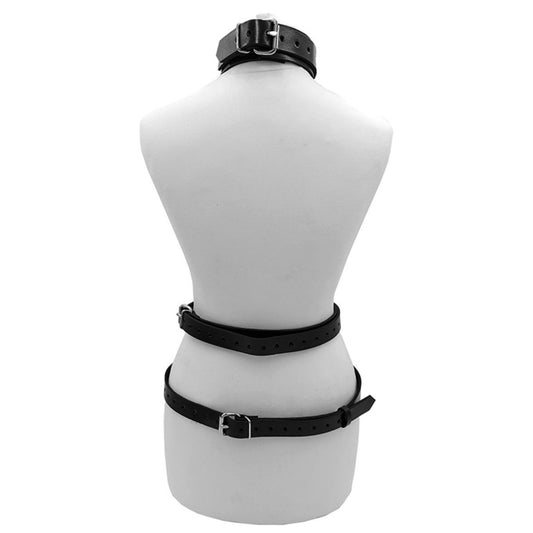 Rouge - Harnais avec ras-de-cou