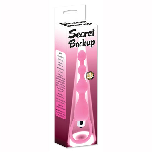 SECRET BACKUP