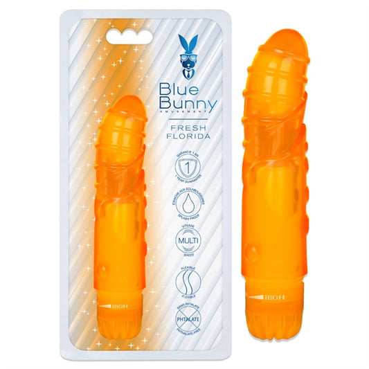 BLUE BUNNY FRESH FLORIDA