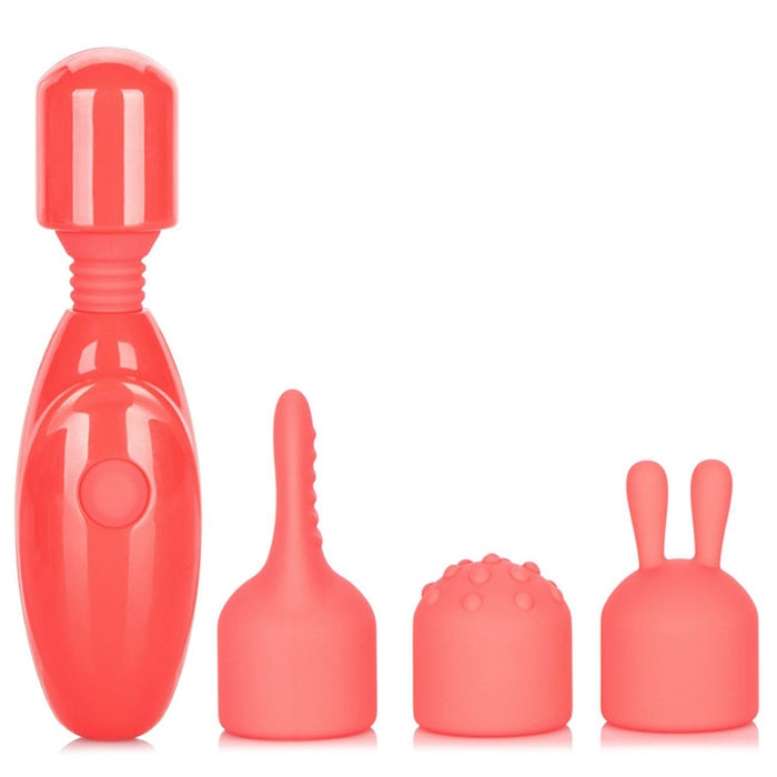 Rechargeable Massager Kit