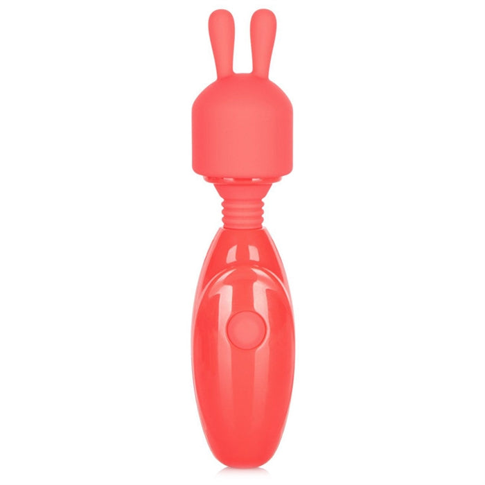 Rechargeable Massager Kit