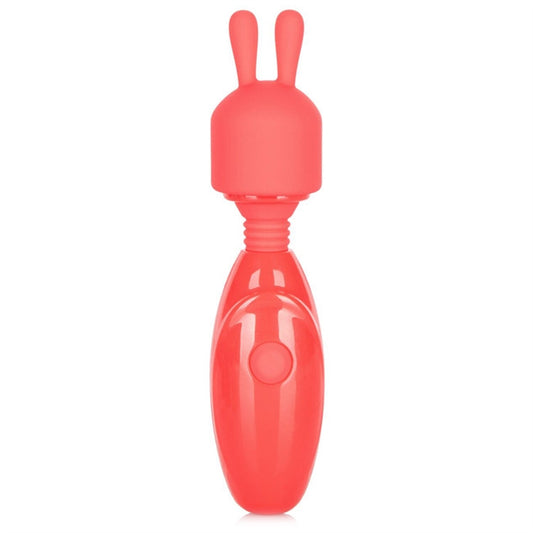 Rechargeable Massager Kit