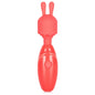 Rechargeable Massager Kit