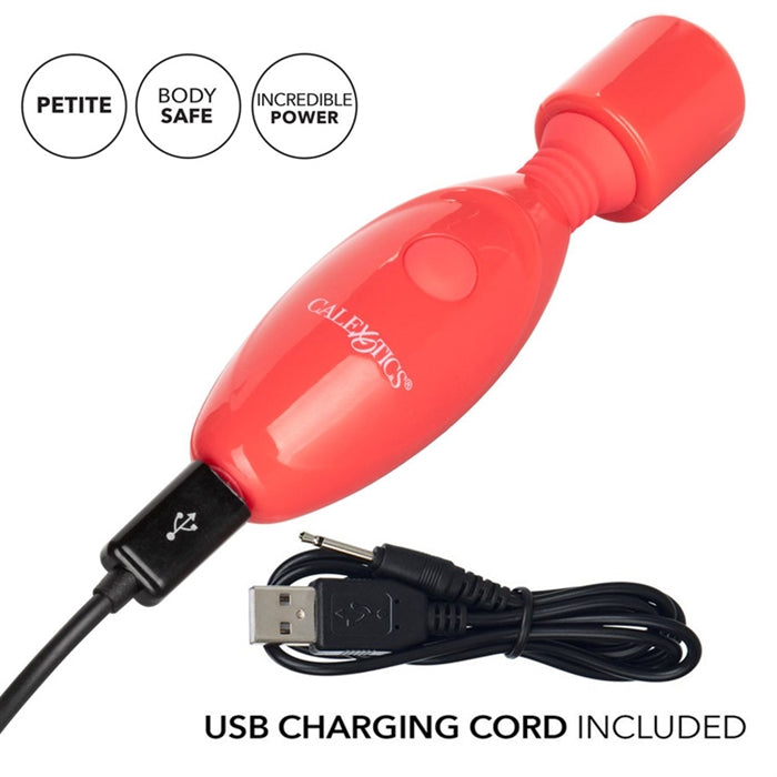 Rechargeable Massager Kit