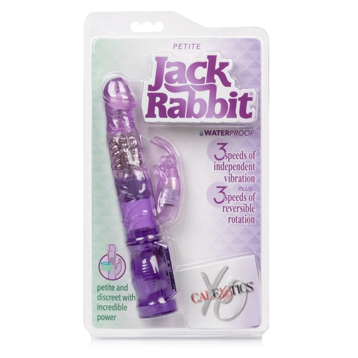 Petite Jack Rabbit - Purple