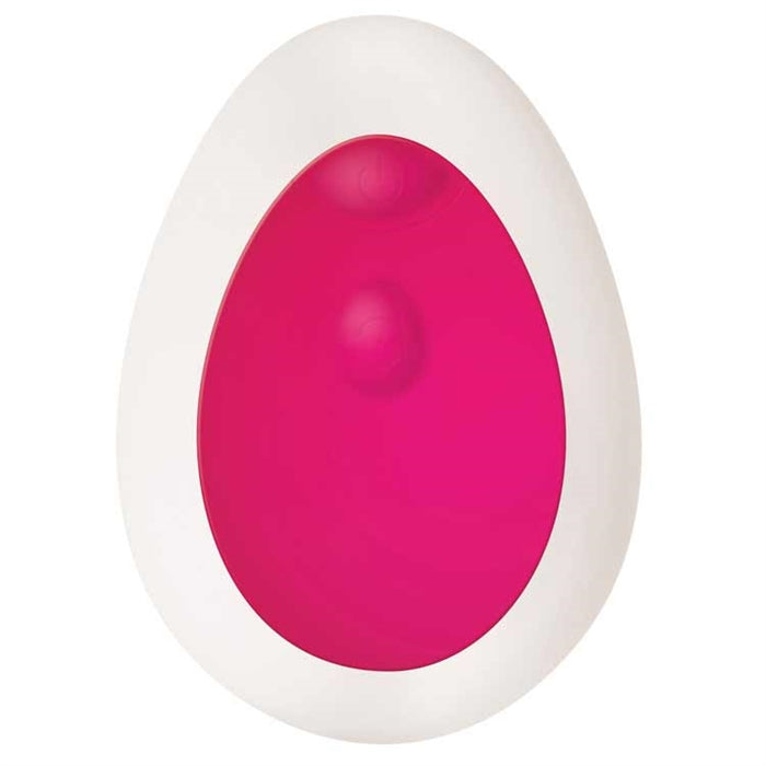 REMOTE CONTROL EGG