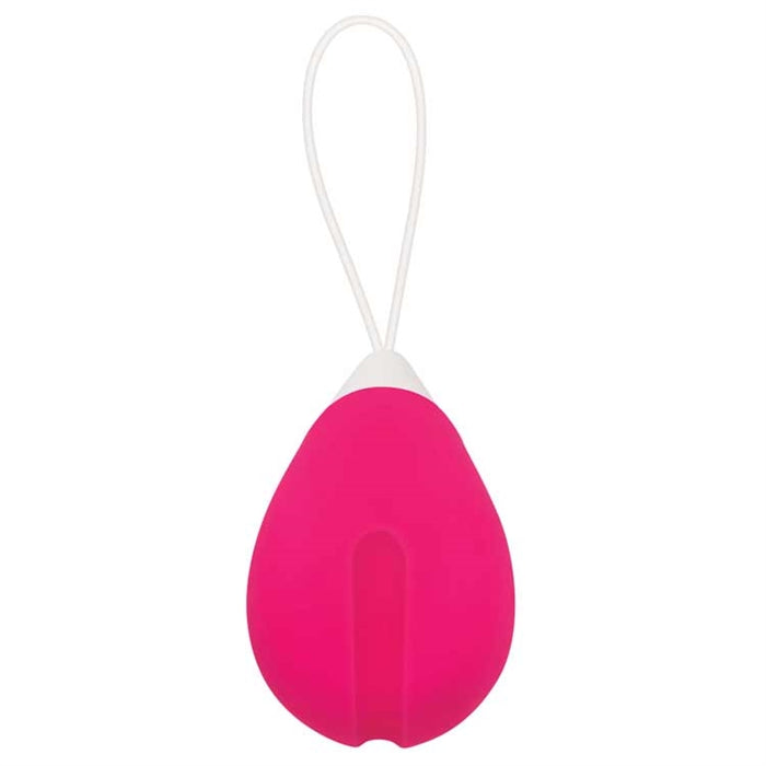 REMOTE CONTROL EGG