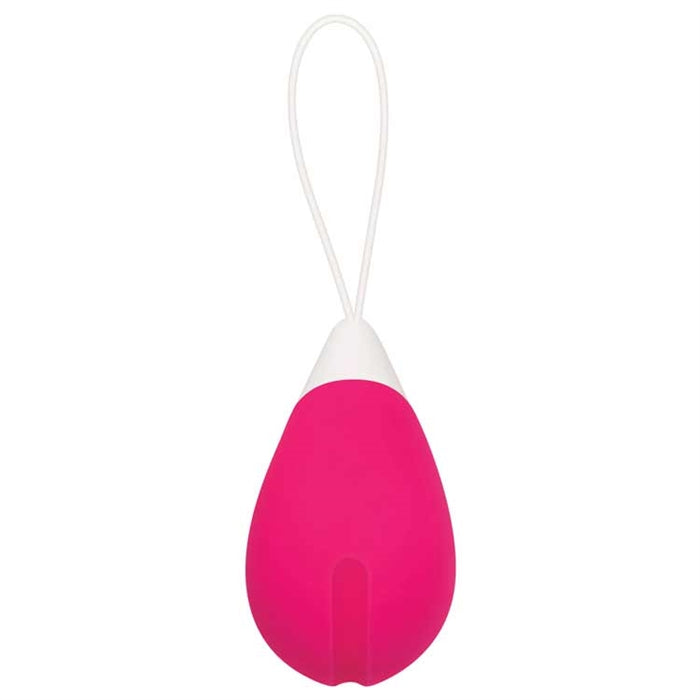 REMOTE CONTROL EGG