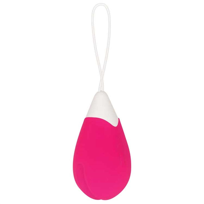 REMOTE CONTROL EGG