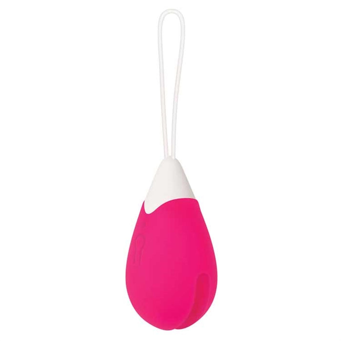 REMOTE CONTROL EGG