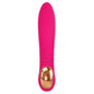 EVE'S BLISS VIBRATOR