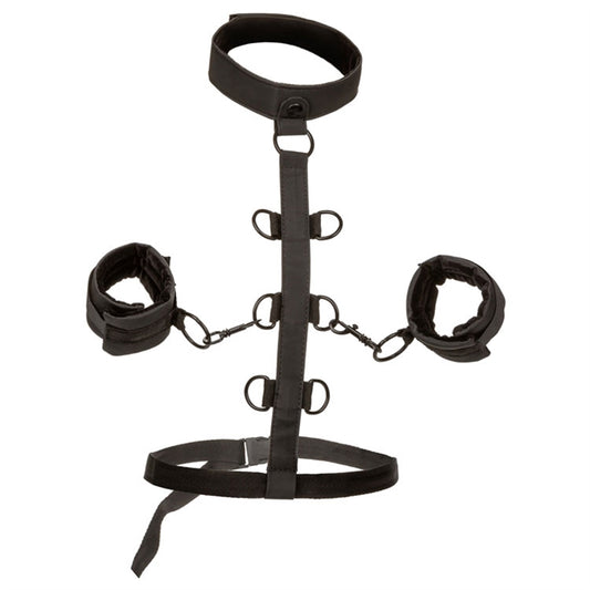 Boundless - Collar Restraint