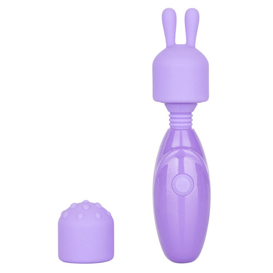 Dr. Laura Berman® Olivia™ Rech. Mini Massager