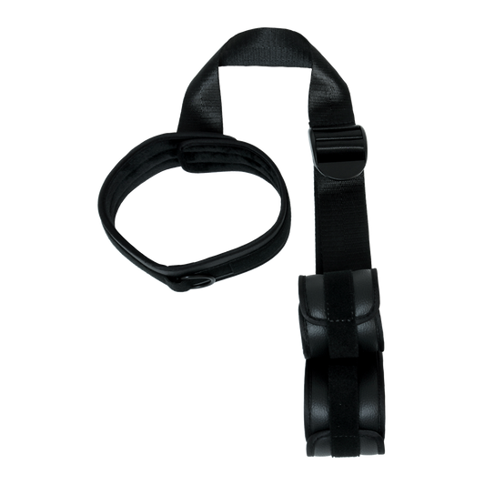 Miss Morgane - Contrainte dorsale végétalienne