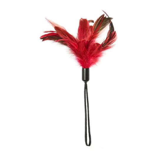 Fiches de sport - Plume de plaisir rouge